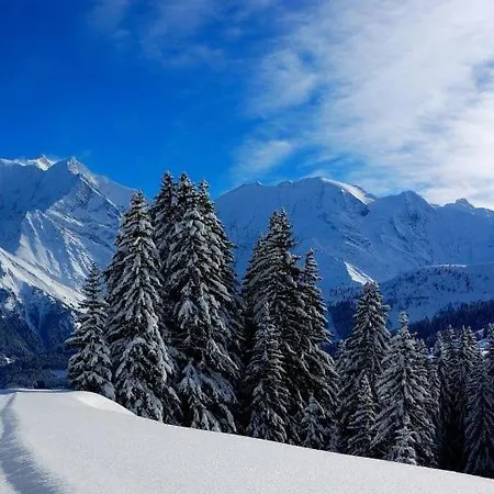 Appartement Mont Blanc Vacances